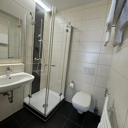 Hotel Boutique Zum Ziel - Modern Near Basel Grenzach-Wyhlen