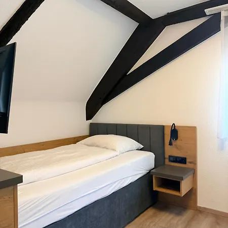 Hotel Boutique Zum Ziel - Modern Near Basel Grenzach-Wyhlen