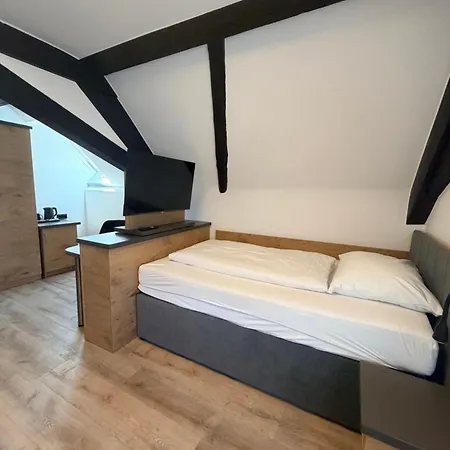 Hotel Boutique Zum Ziel - Modern Near Basel