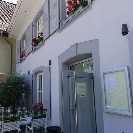 Zum Ziel & Restaurant Bei Basel Hotel